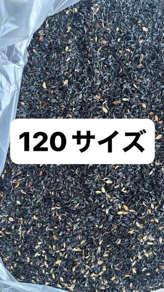 籾殻くん炭 米袋に入れて発送 120サイズ くんたん 燻炭 もみ殻くんたん