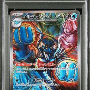 イルカマンex SAR PSA10 テラスタルフェスex