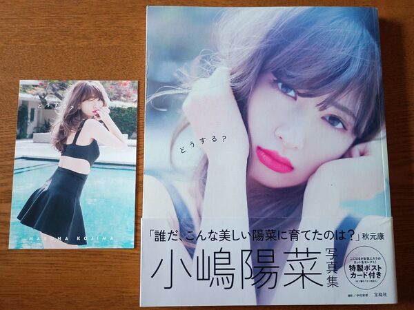どうする? 小嶋陽菜写真集 小嶋陽菜/著 帯付 初版 ポストカード付き
