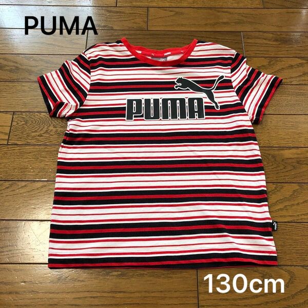 PUMA プーマ 半袖 Tシャツ ボーダー 130cm キッズ 子供服 男の子
