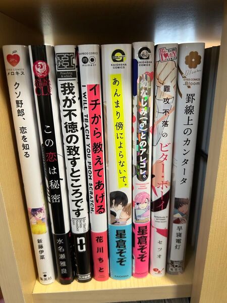BL コミック 漫画 まとめ売り 17冊セット