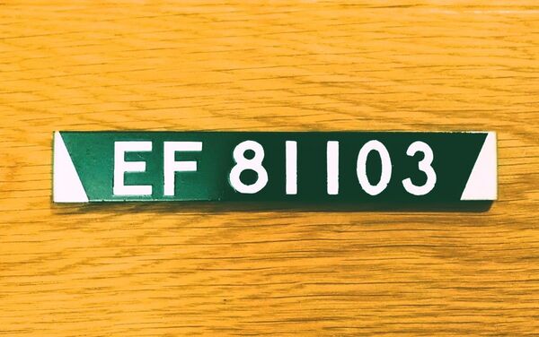 ★金属製ミニナンバープレート★EF81 303★JR貨物★銀釜★受注製作★