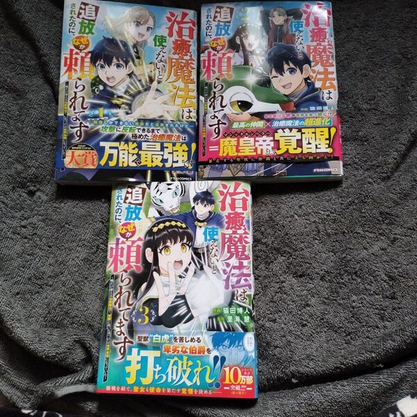 治癒魔法は使えないと追放されたのに、なぜか頼られてます 俺だけ使える治癒魔法で、聖獣と共に気づけば世界最強になっていた1巻〜3巻