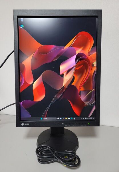 EIZO RadiForce MX215 21.3インチ医療用 モニター