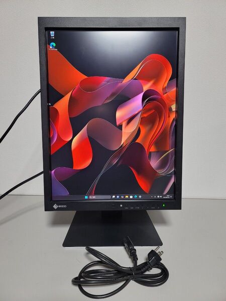 値下げ EIZO RadiForce MX215 21.3インチ医療用 モニター