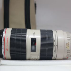 Canon EF 70-200 F2.8 L IS II USM