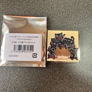 キヨ15周年くじ キヨ猫 G賞アクリルバッジ&E賞シャカシャカアクリルキーホルダー