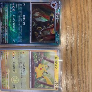 ブラッキー ピカチュウ モンスターボールレア おまけ
