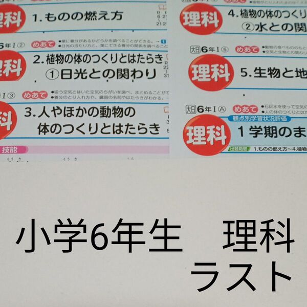 6年生 理科 明治図書 大日本図書 カラーテスト 一学期 未使用 ラスト