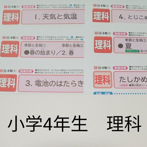4年生 理科 日本標準 大日本図書 カラーテスト 1学期 未使用