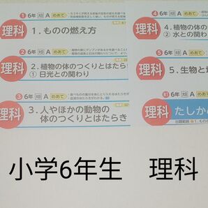 6年生 理科 光文書院 大日本図書 カラーテスト 1学期 未使用