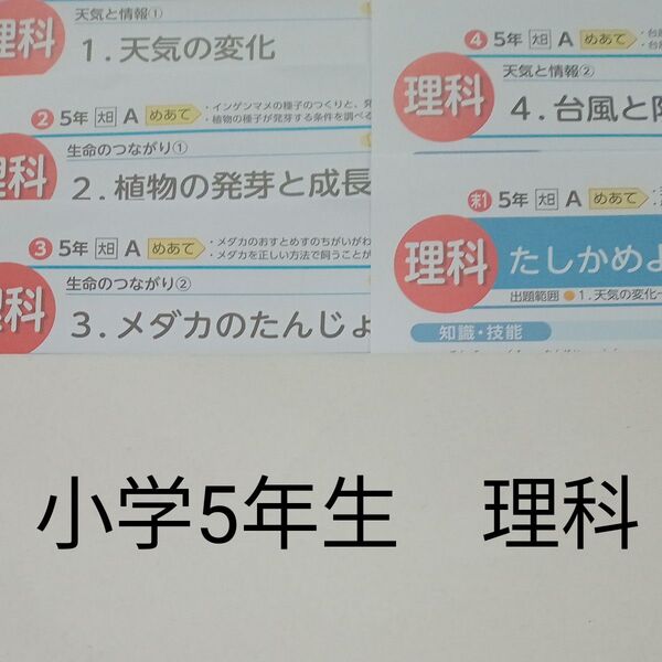 5年生 理科 光文書院 大日本図書 カラーテスト 1学期 未使用