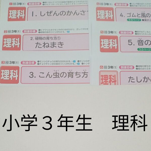 3年生 理科 日本標準 大日本図書 カラーテスト 1学期 未使用 未記入