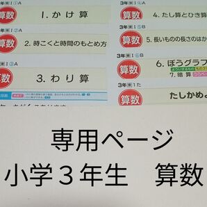 3年生 算数 東京書籍 ぶんけい カラーテスト 1学期 未使用 専用ページ