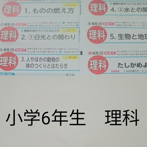 6年生 理科 大日本図書 青葉出版 カラーテスト 1学期 未使用