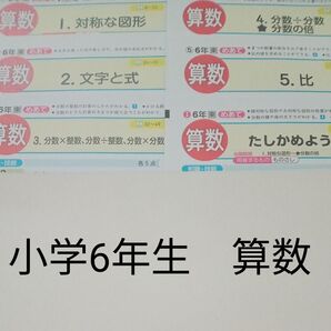 6年生 算数 東京書籍 青葉出版 カラーテスト 1学期 未使用