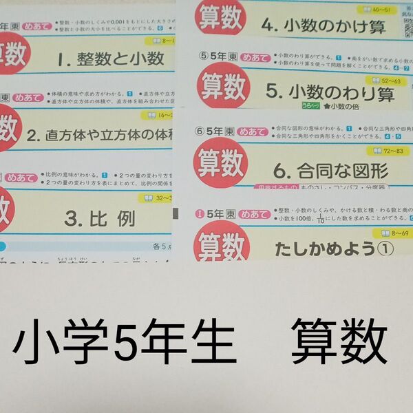 5年生 算数 東京書籍 青葉出版 カラーテスト 1学期 未使用
