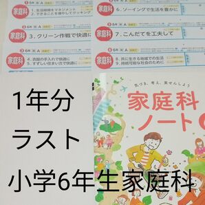 6年生 家庭科 開隆堂 光文書院 1年分 カラーテスト 未使用