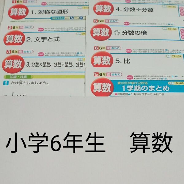 6年生 算数 東京書籍 教育同人社 カラーテスト 1学期 未使用