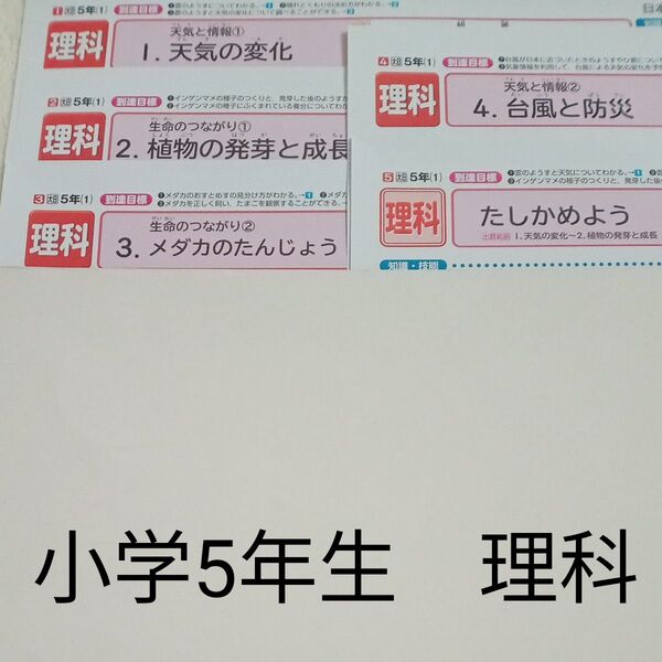 5年生 理科 大日本図書 日本標準 カラーテスト 1学期 未使用