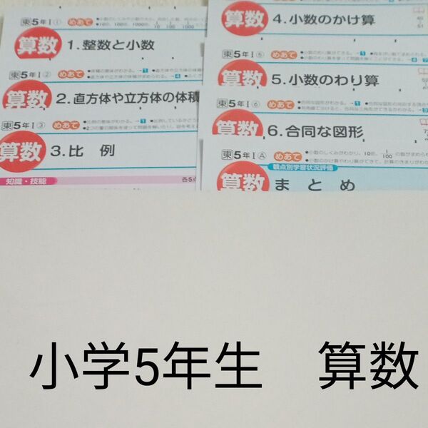5年生 算数 東京書籍 明治図書 カラーテスト 1学期 未使用