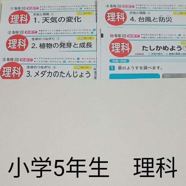 5年生 理科 大日本図書 青葉出版 カラーテスト 1学期 未使用