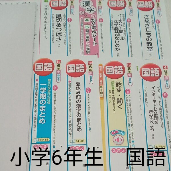 6年生 国語 東京書籍 教育同人社 カラーテスト 1学期 未使用