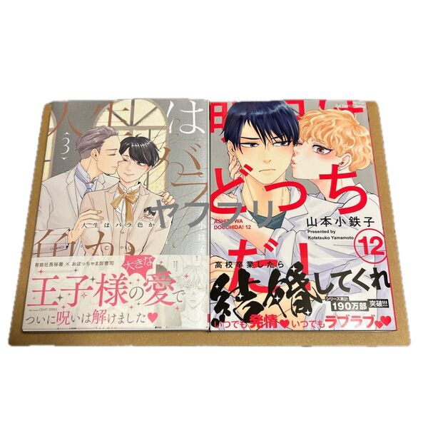 山本小鉄子 人生はバラ色か 3巻 明日はどっちだ!12巻【新品未読】