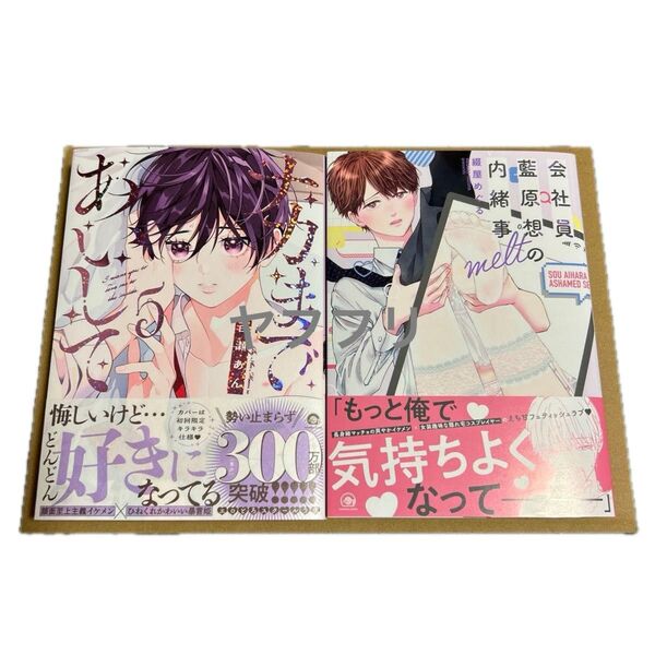 百瀬あん ナカまであいして 5 綴屋めぐる 会社員 藍原想の内緒事 melt【新品未読】