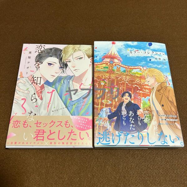 嵩梨ナオト 恋を知らないふたり 芹澤知 カラー・コレクション PARADE