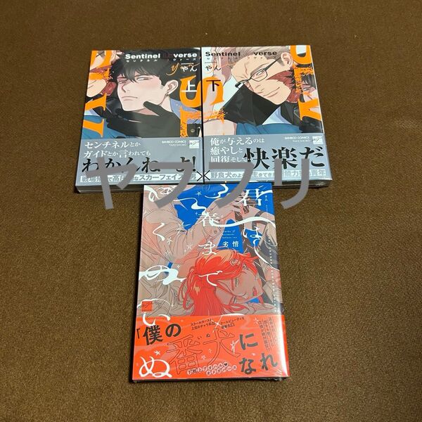 やん Sentinel Loverse センチネルラヴァーズ上下 劣情 君は春までぼくのいぬ 【新品未開封】