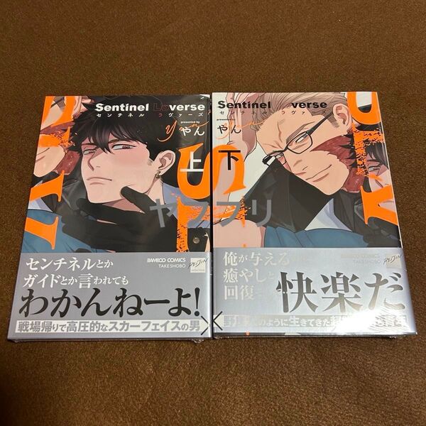 やん Sentinel Loverse 上下 【新品未開封】