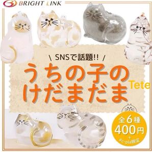 うちの子のけだまだま ガチャガチャ コンプリート6種 Mサイズ 猫