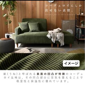 2人3人掛 肘付コーデュロイ グリーン 北欧ローソファー