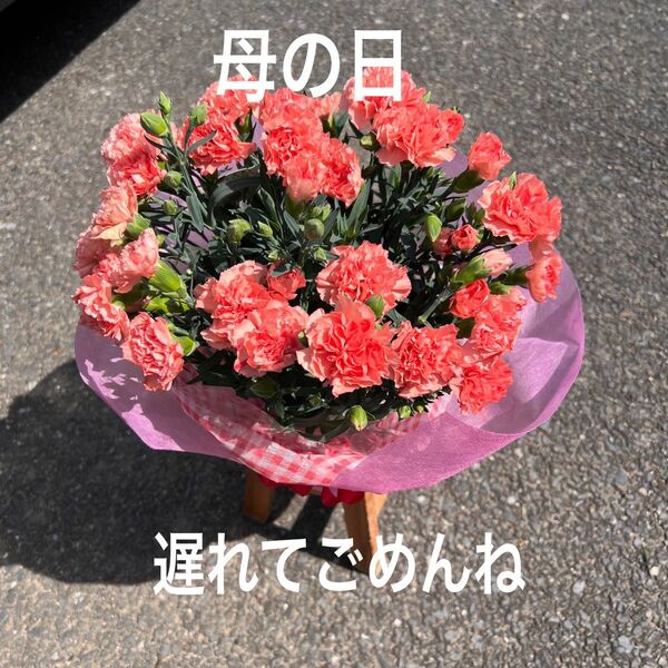 鉢植え、オレンジカーネーション、母の日のプレゼント5寸