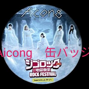 アイドル Aicong(アイコン)缶バッジ 大分県 ジゴロック フェス 限定 カンバッジ ピンバッジ 小室哲哉 送料無料