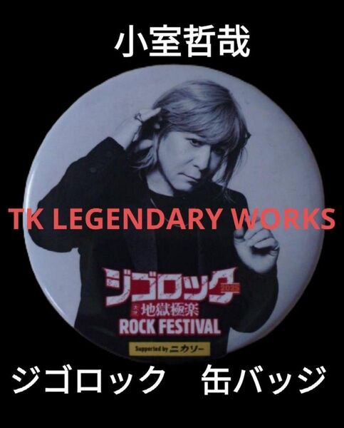 大分県 2025 ジゴロック 小室哲哉 TK LEGENDARY WORKS 缶バッジ 限定品 グッズ カンバッジ ピンバッジ