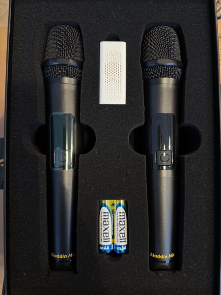 Aladdin Mic アラジン マイク カラオケ USB ワイヤレス プロジェクター X ワイヤレスマイク