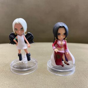 ワンピの実