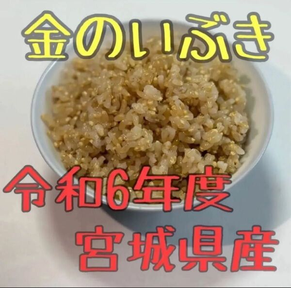 新米 宮城県産 金のいぶき 令和6年度 10kg 玄米
