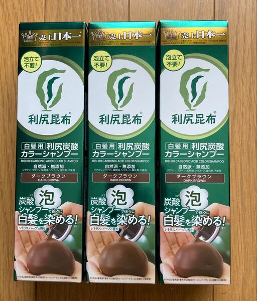 利尻炭酸カラーシャンプー ダークブラウン 180g 3本セット 新品未開封 白髪染め用 濃密泡タイプ 送料無料