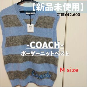 新品・大人気早い者勝ち】COACH ボーダーニットベスト CP976 セーター