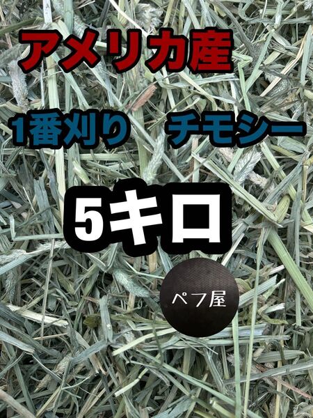 チモシー 5キロ ウサギ モルモット デグー チンチラ 1番刈