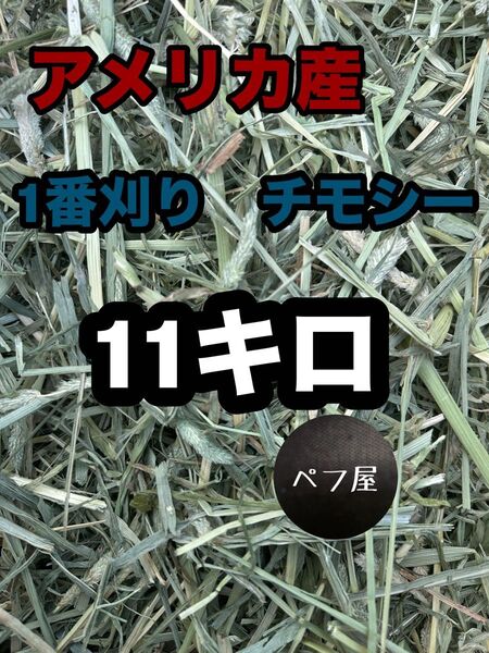 チモシー 11キロ ウサギ モルモット デグー チンチラ 1番刈