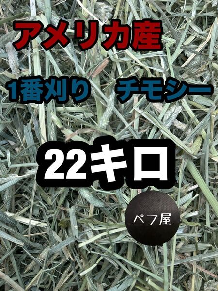 チモシー 22キロ ウサギ モルモット デグー チンチラ 1番刈