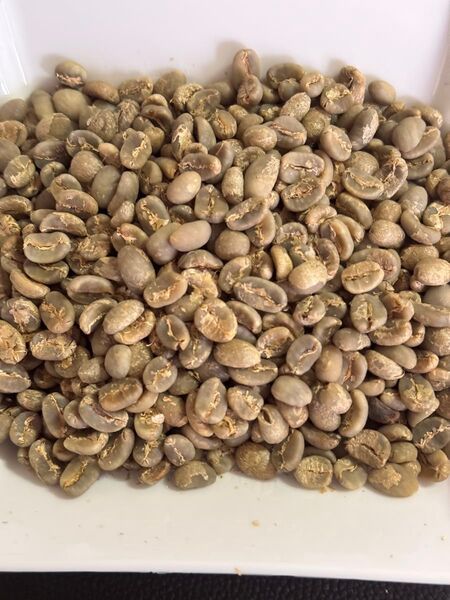 【生豆】インドネシアマンデリン ブルーバタック200g 珈琲