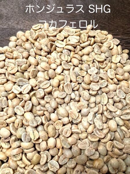 【生豆】ホンジュラス SHG コカフェロル 500g コーヒー生豆
