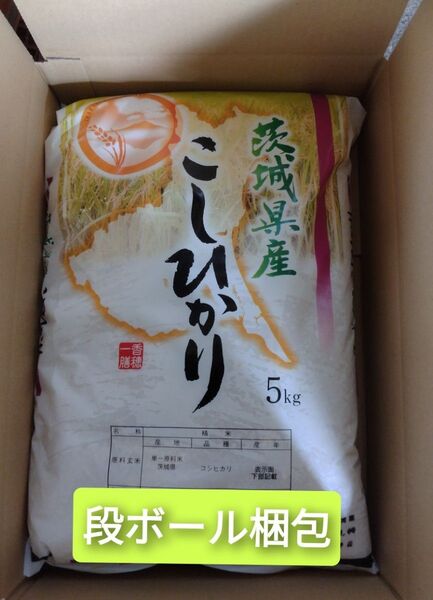 茨城県産コシヒカリ白米5キロ【箱発送】