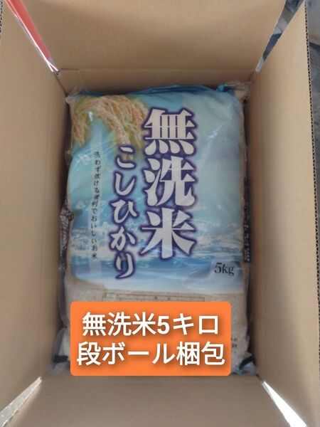 茨城県産コシヒカリ無洗米5キロ【箱発送】