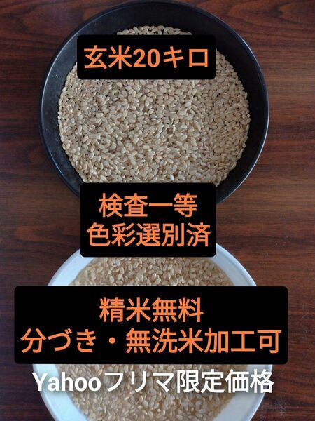 茨城県産コシヒカリ玄米20キロ